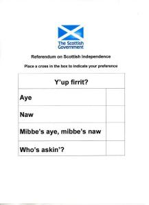 The ballot paper for the referendum.